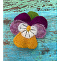 Pansy Felt Brooch 24