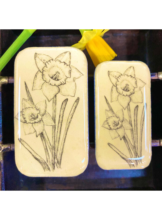 Daffodil Tiny Tin 89