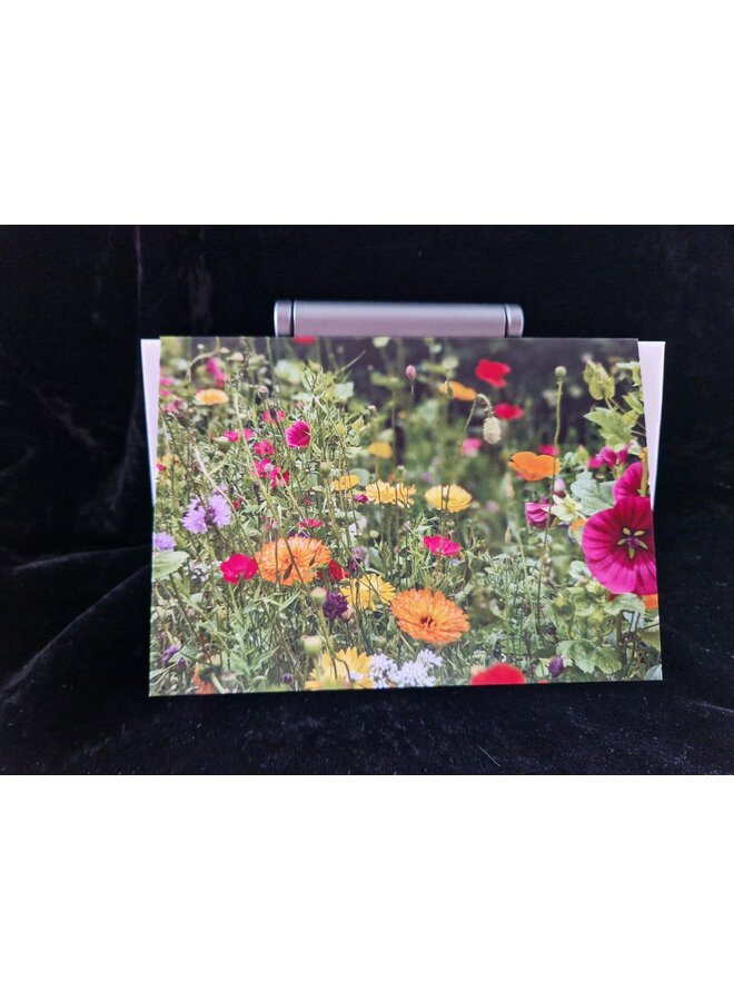 Meadow Flowers Photo Art Card by Sue Wardell 09