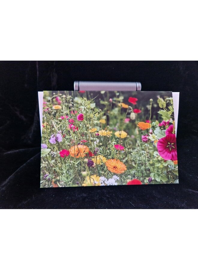 Tarjeta fotográfica con diseño de flores de pradera, de Sue Wardell 09