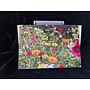 Meadow Flowers Photo Art Card by Sue Wardell 09