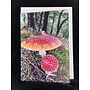 Fly Agaric 1 Photo Art Card by Sue Wardell 07