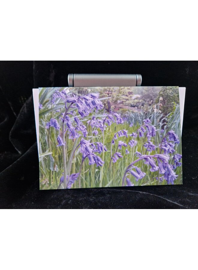 Bluebells Photo Art Card by Sue Wardell 06