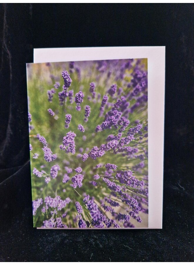 Tarjeta fotográfica con un ramo de flores de lavanda, de Sue Wardell 05