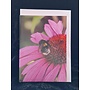 Bee Sucking Echinacea Photo Art Card by Sue Wardell 03