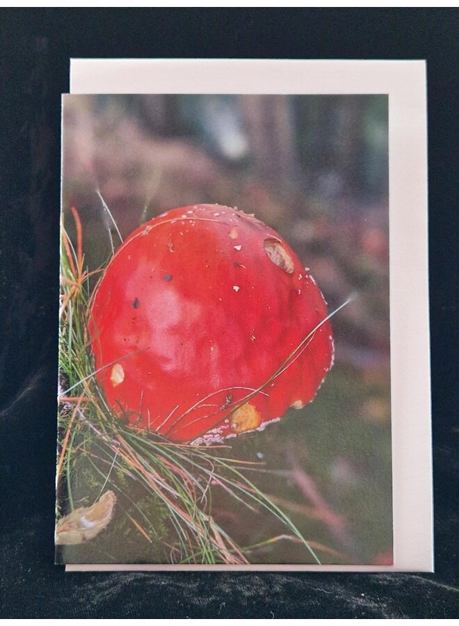 Fotokarte mit Fliegenpilzmotiv von Sue Wardell 02