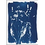 Grasses and Seeds  Cyanotype Giclee Print 18