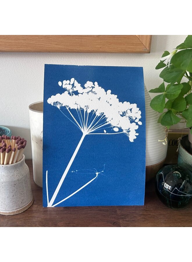 Petersilie Cyanotypie Giclée-Druck 13
