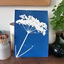 Parsley Cyanotype Giclee Print 13