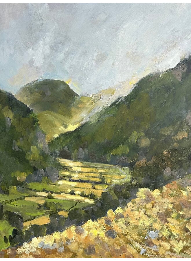 Borrowdale Valley