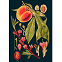 Peach Vintage Collection Card