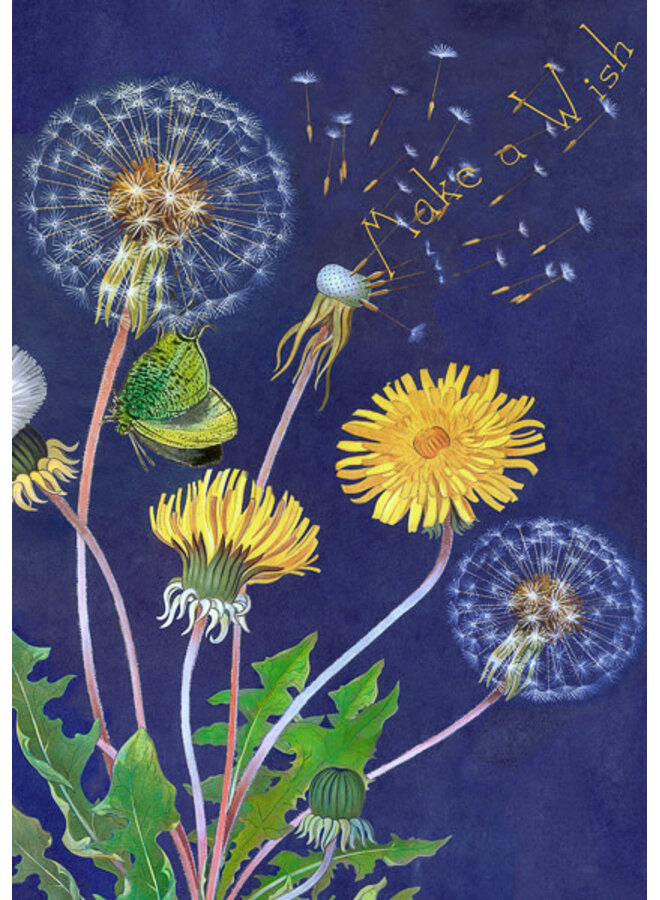 Dandelion Make a Wish Card