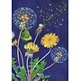 Dandelion Make a Wish Card