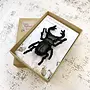 Stag Beetle Embroidered Brooch 161