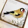 Goldfinch Beak Right Embroidered boxed Brooch 159