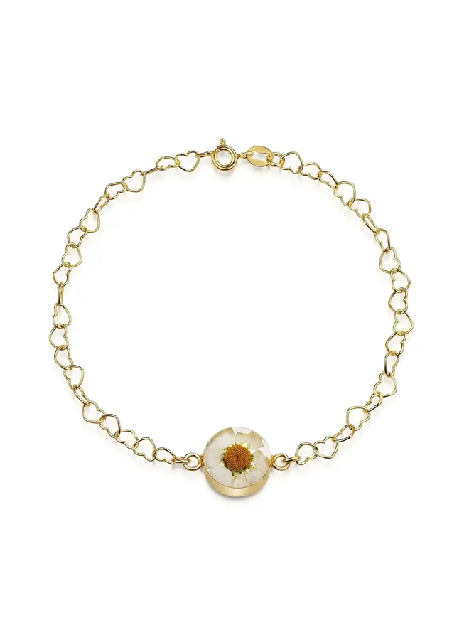 Daisy round real flower bracelet with silver heart chain 02