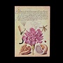Mira Botanica Softcover Mini Journal Lined