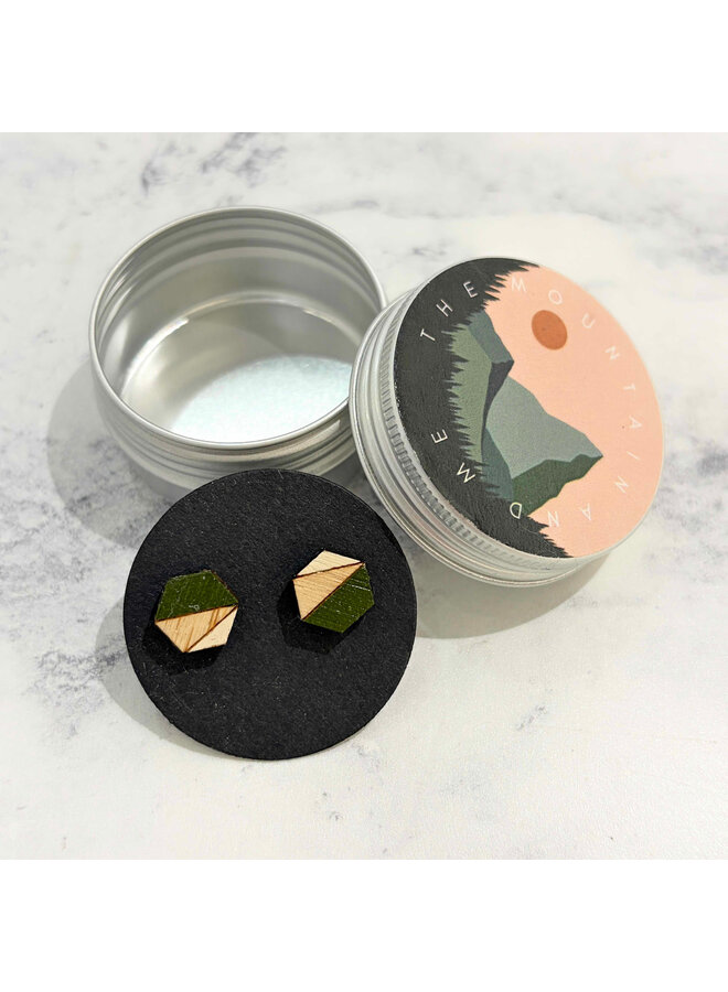 Pendientes hexagonales pequeños de bambú verde 56