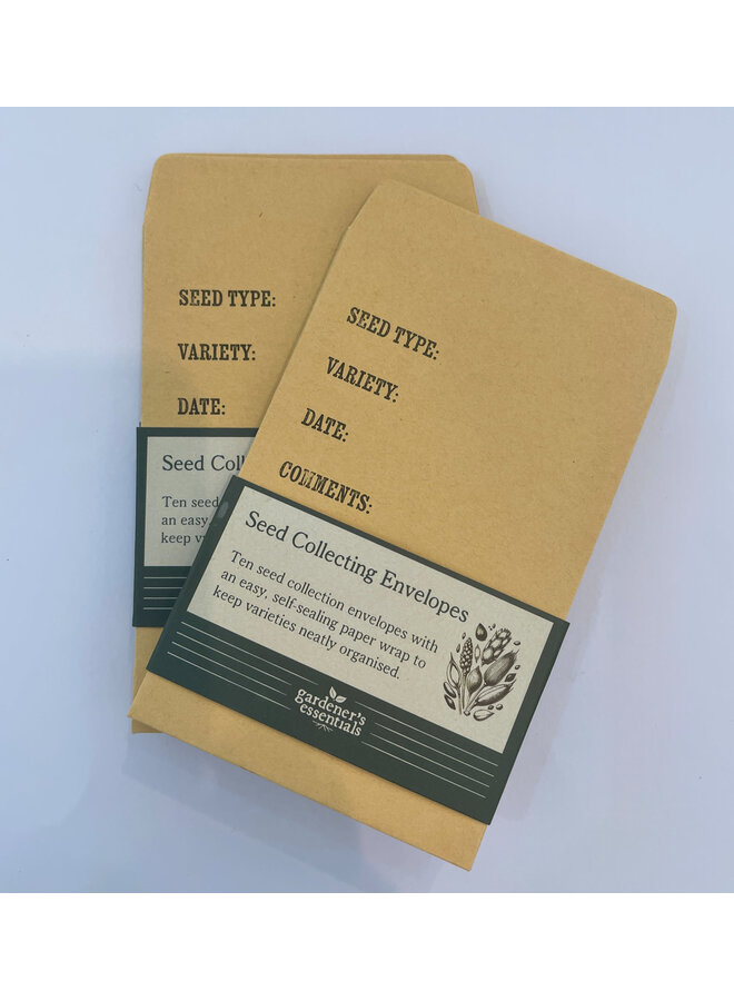 Paquet de 10 enveloppes pour la collecte de graines - 36