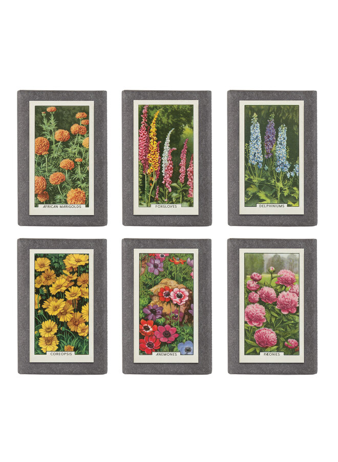 Oliven-Mini-Seife, Retro-Gartenpflanzen, sortiert, 32 Stück (einzeln)