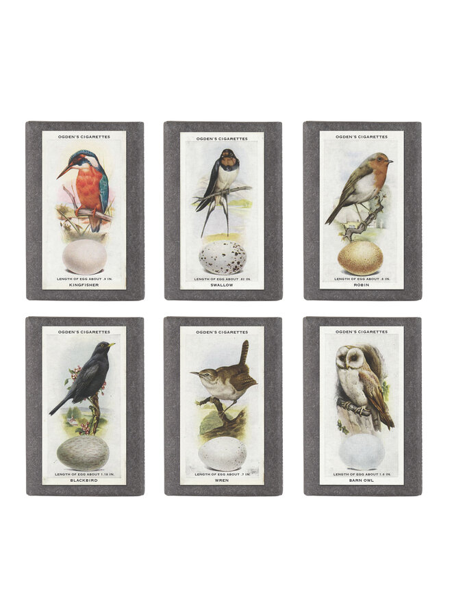 Olive Mini Soap Retro British Birds 30 (singles)