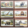 Olive Mini Soap Retro Safari Animals 31 (einzeln)