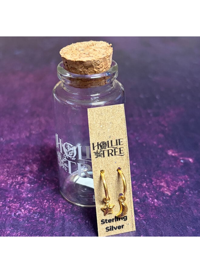 Moon & Star  Tiny Gold Hoop Stud in a Bottle 38