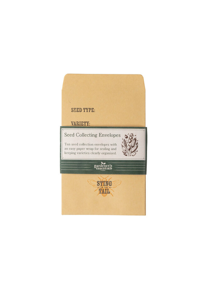 Seed  Collecting Envelopes Pack of 10 - 36