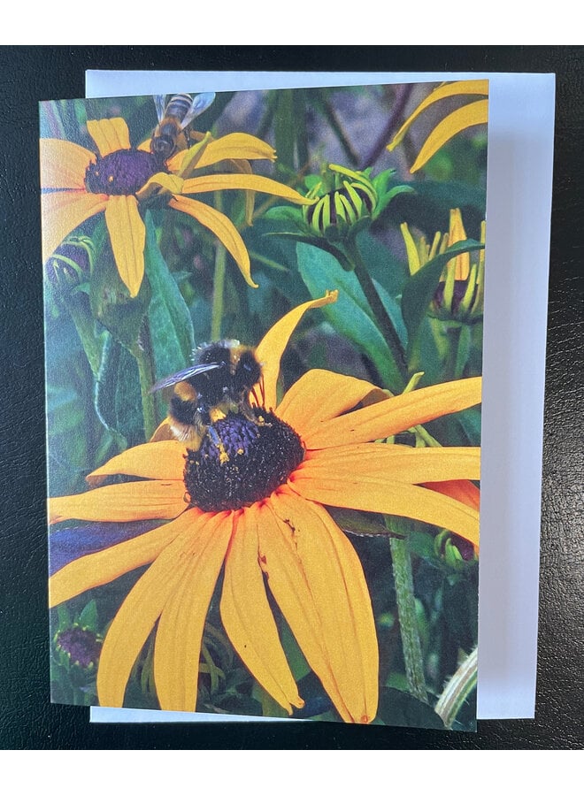 Bees on Yellow Flowers  Photo Art by Sue Wardell