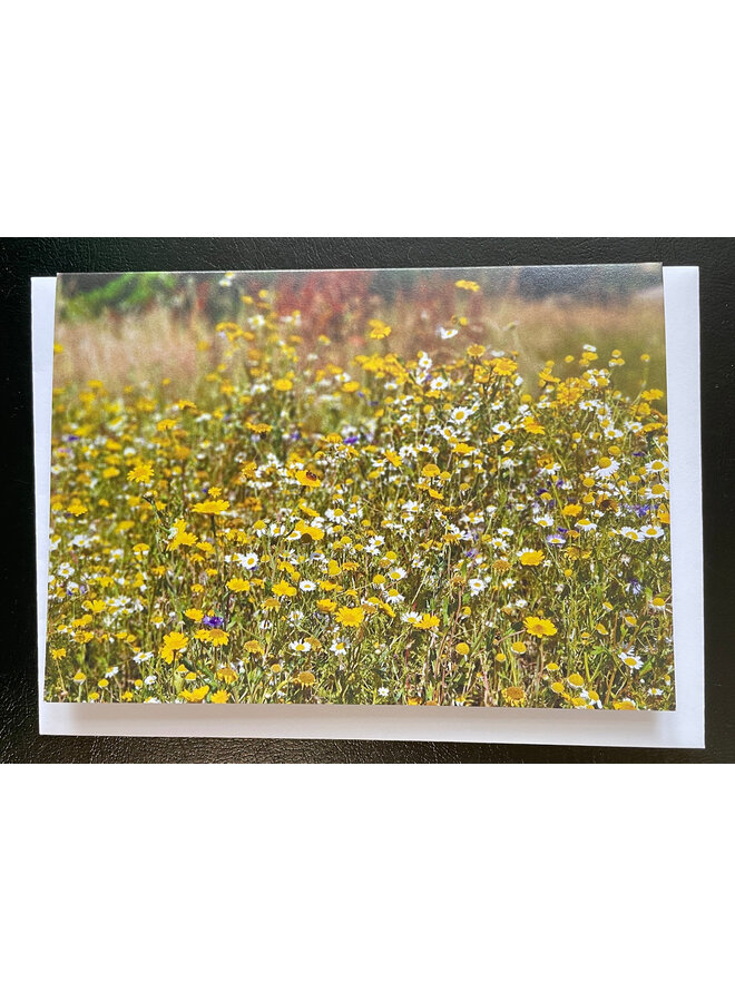 Meadow Flowers  2 Photo Art by Sue Wardell