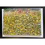 Meadow Flowers  2 Photo Art by Sue Wardell