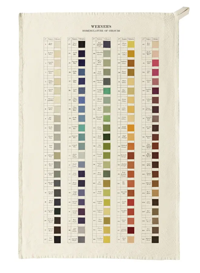 Nomenclature of  Colours Organic Cotton Tea Towel