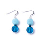 Copy of Jet Glass & Crystal Earrings Earrings