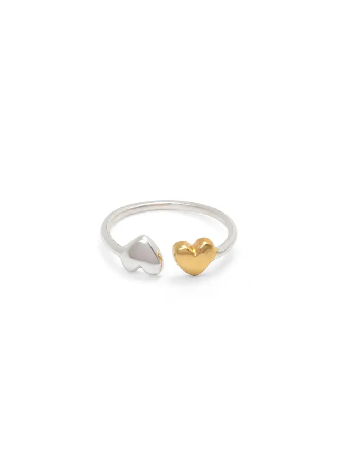 Adjustable Ring with Double Hearts in Silver and Gold 245