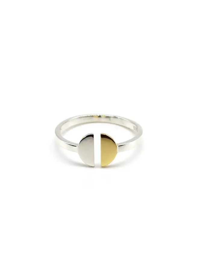 Copy of Adjustable Ring with Double Hearts in Silver and Gold 245