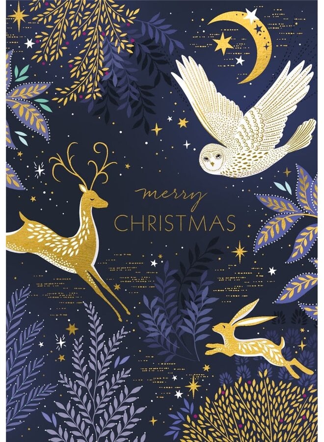 Midnight Owl Xmas Card by Sara Miller