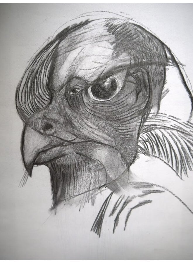 Predator