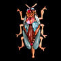 Beetle Blue Wings Large Brooch 716