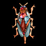 Copy of Beetle  Large Brooch 715