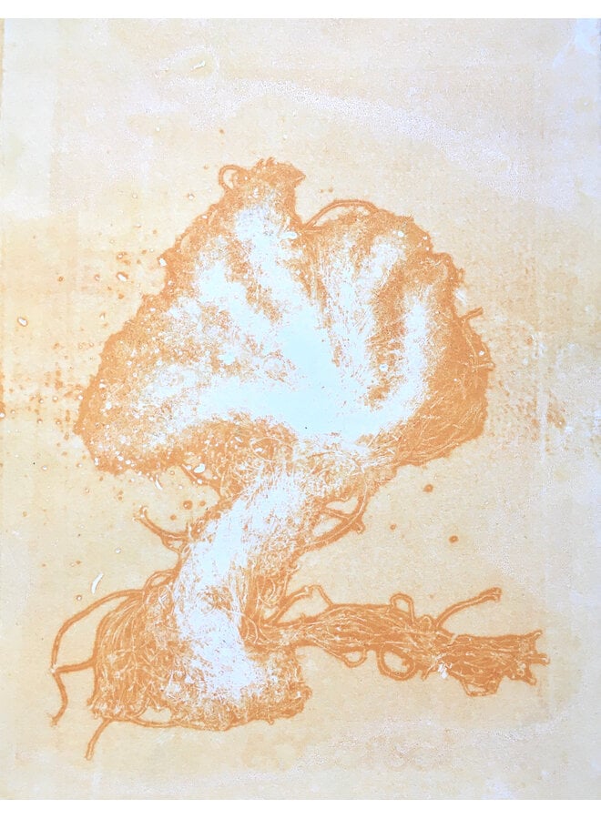 Anthropocene Ocean Fauna 1
