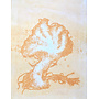 Anthropocene Ocean Fauna 1