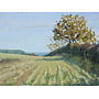 Autumn Towards The Sea No.1