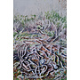 Heathland - Raw Nook