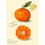 Clementine Card