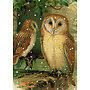A Snowy Night card