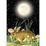 La lune se leva sur un champ ouvert (carte)