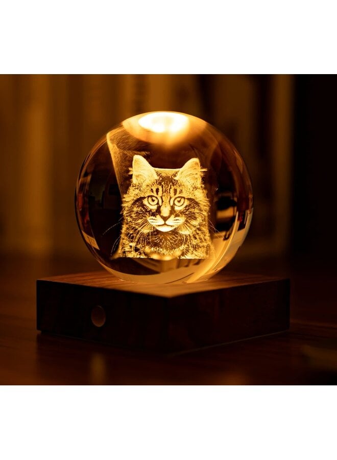 Longhair Tabby Cat Amber Crystal Light