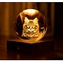 Longhair Tabby Cat Amber Crystal Light
