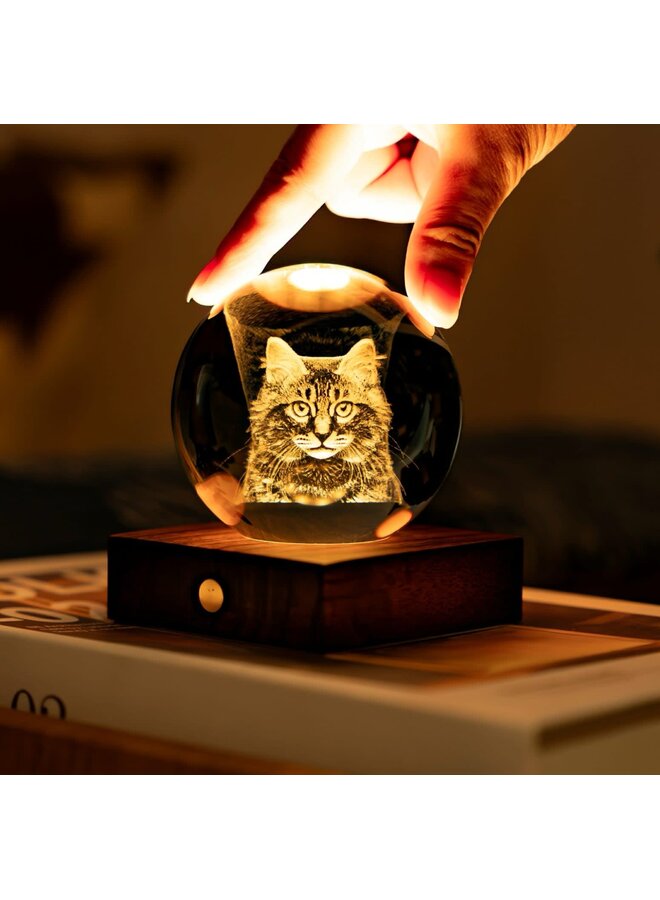 Longhair Tabby Cat Amber Crystal Light