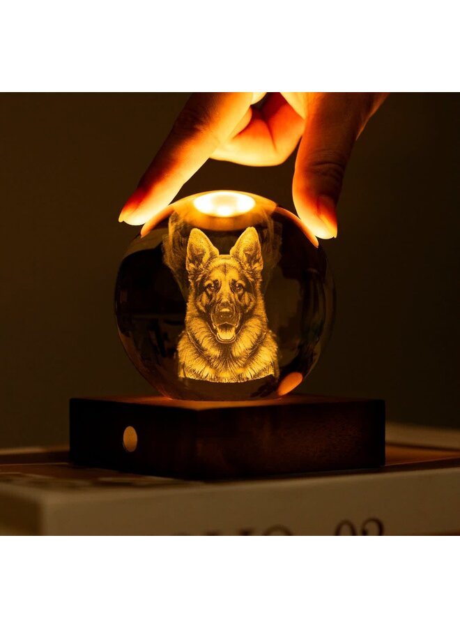 German Shepherd Dog Amber Crystal Light